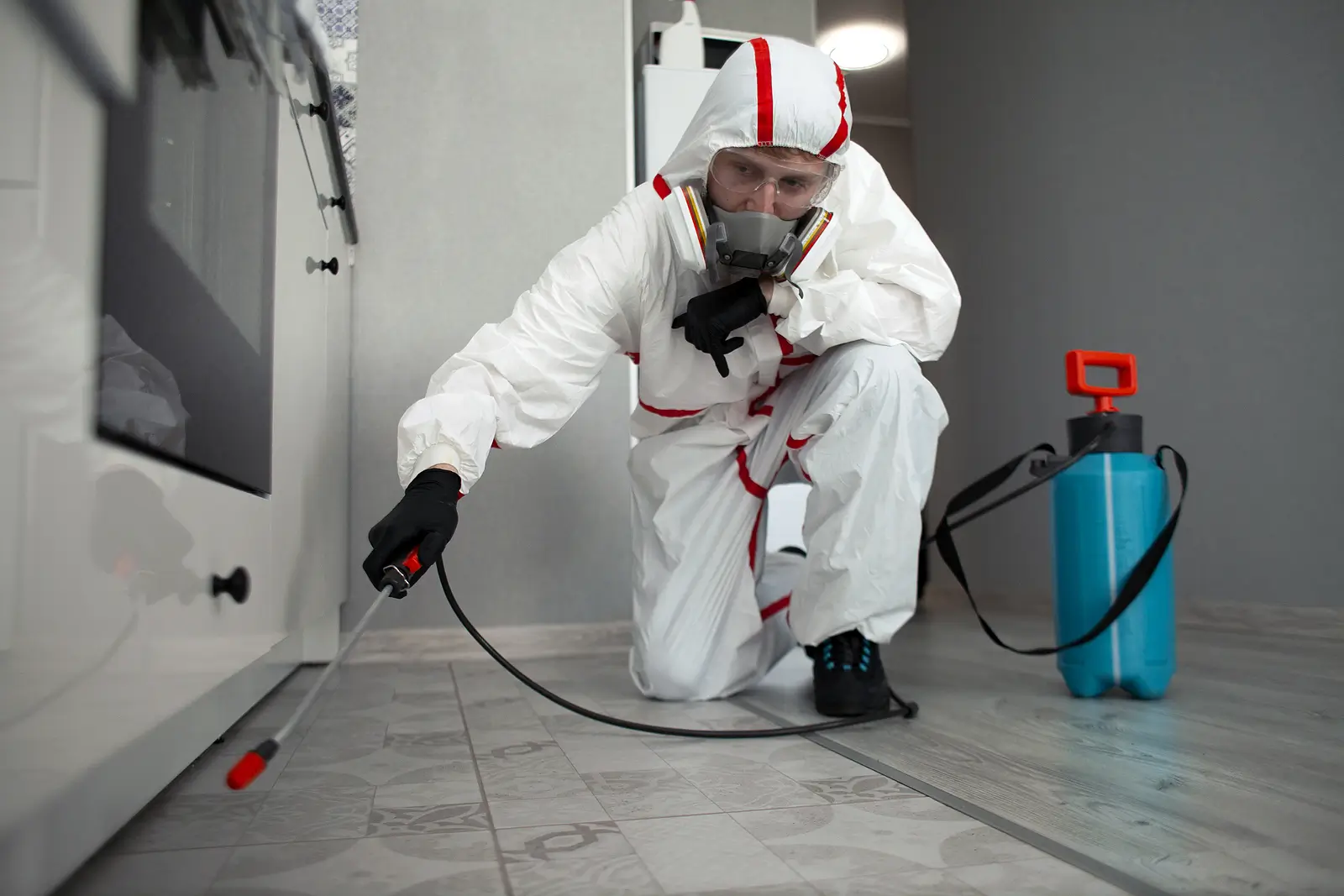 Top 10 Reasons to Hire a Professional Pest Control Service for Your Puyallup Rental