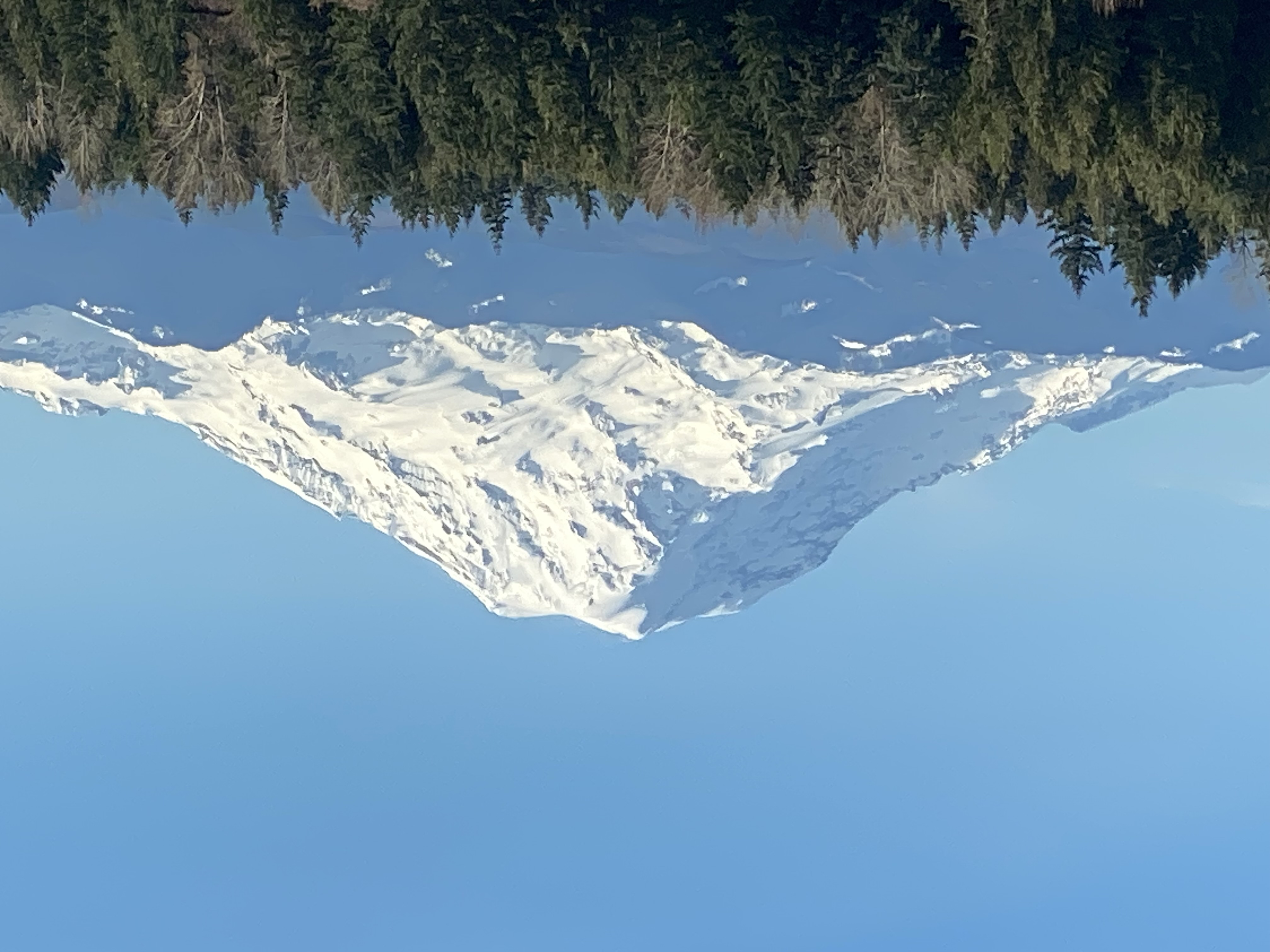 Bonney Lake Property Management